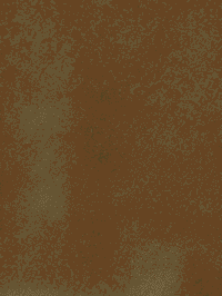 Alternative view of Scotch & Soda 175367 : Mid-length swim shorts, Algae