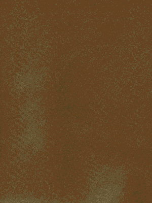 Alternative view of Scotch & Soda 175367 : Mid-length swim shorts, Algae