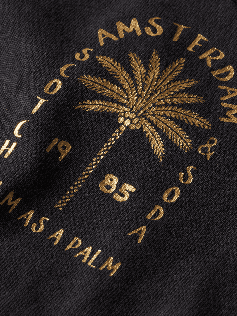 Scotch & Soda 177389 : Washed embroidery T-shirt, Antra - Image 2