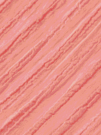 Alternative view of Scotch & Soda 177196: Tank top with tape detail, Coral