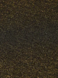 Alternative view of Scotch & Soda 178202 Lurex Racer Tank