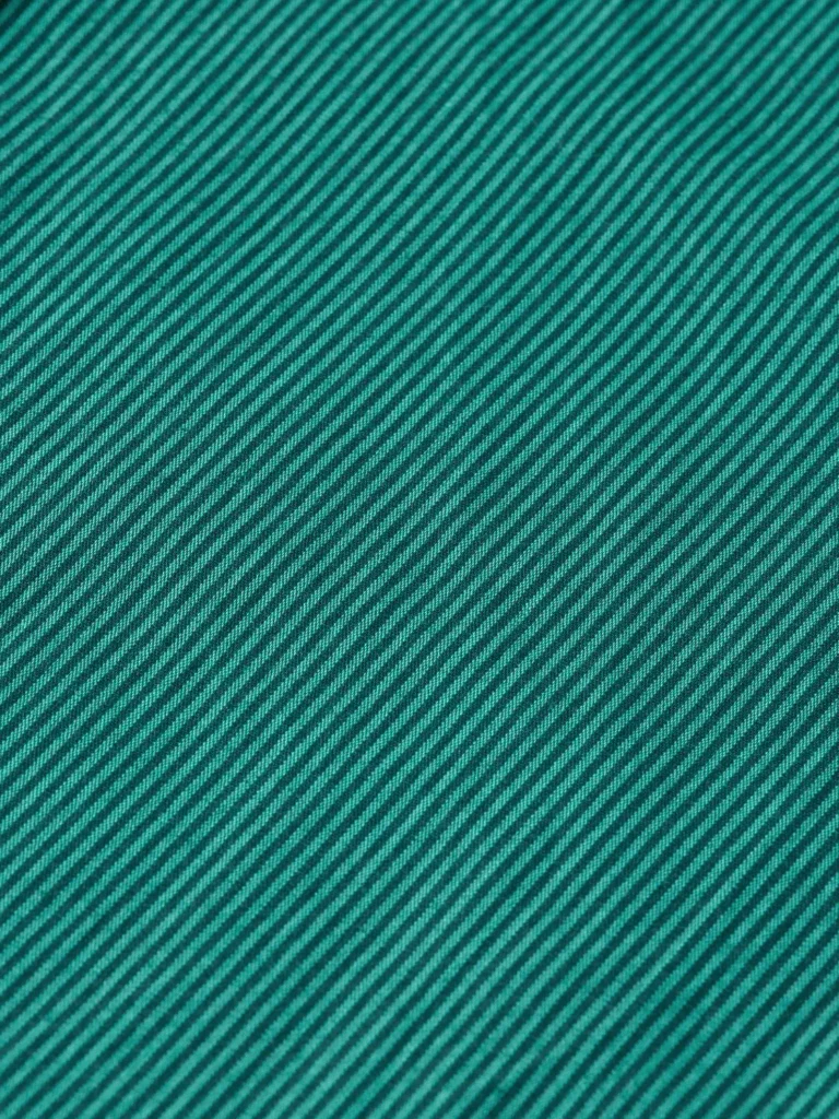 Scotch & Soda 178704 Essential poplin stripe shirt - Image 4