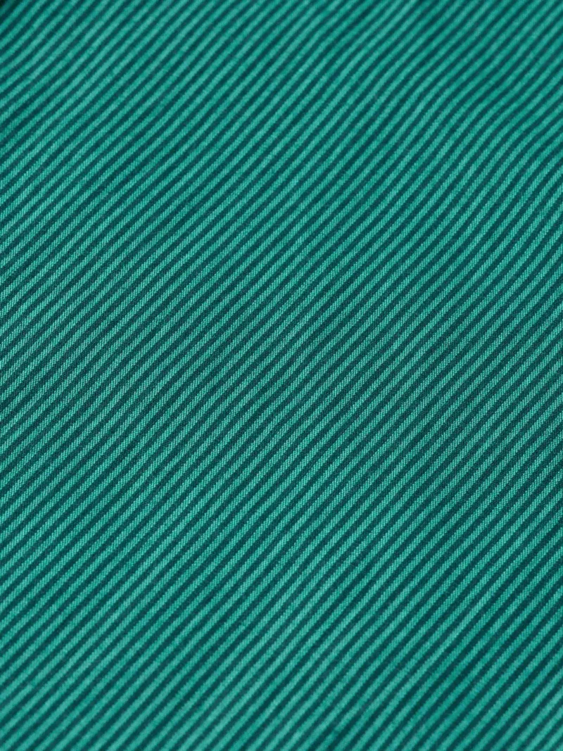 Scotch & Soda 178704 Essential poplin stripe shirt - Image 4