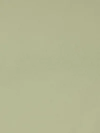 Alternative view of Scotch & Soda 178198 Satin Tank Top