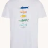 A Fish named Fred : T-shirt fish