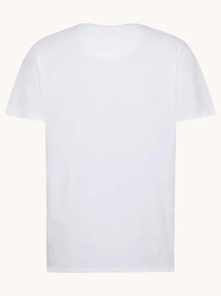 A Fish named Fred : T-shirt fish - Image 4
