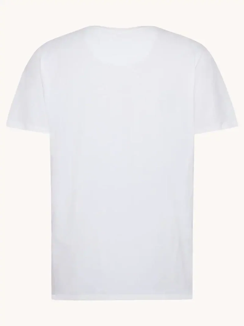 A Fish named Fred : T-shirt fish - Image 4