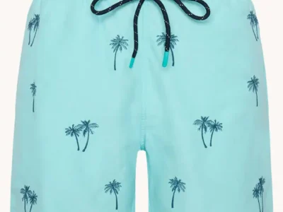 A Fish named Fred : Swimshort Palm tree, Aqua blue