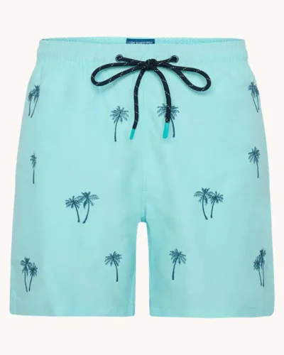 A Fish named Fred : Swimshort Palm tree, Aqua blue