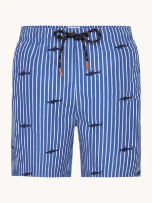 A Fish named Fred : Swimshort Shark, Cobalt