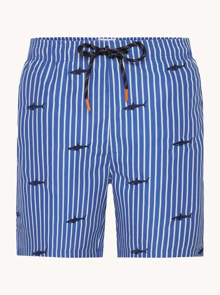 A Fish named Fred : Swimshort Shark, Cobalt