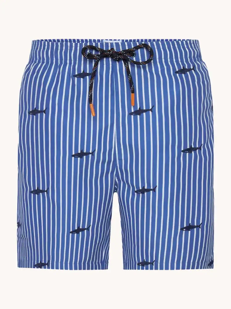 A Fish named Fred : Swimshort Shark, Cobalt