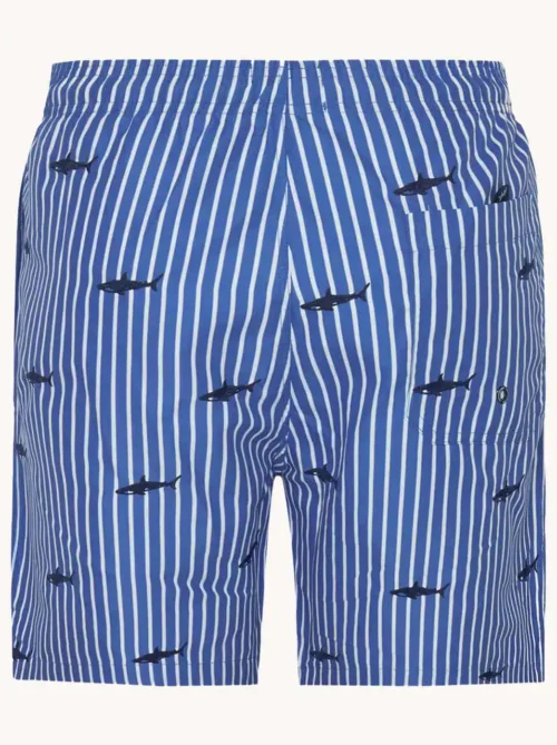 A Fish named Fred : Swimshort Shark, Cobalt - Image 4