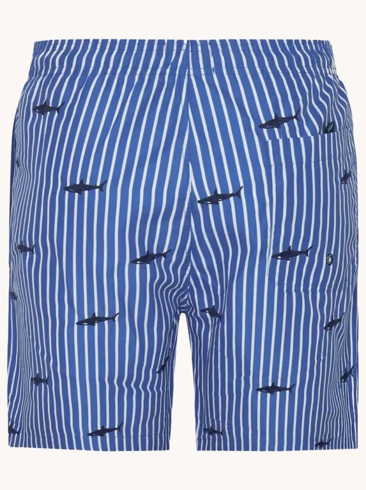 A Fish named Fred : Swimshort Shark, Cobalt - Image 4
