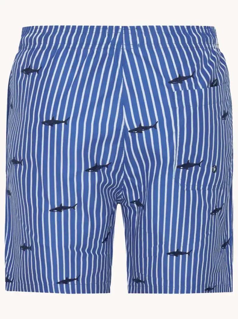 A Fish named Fred : Swimshort Shark, Cobalt - Image 4