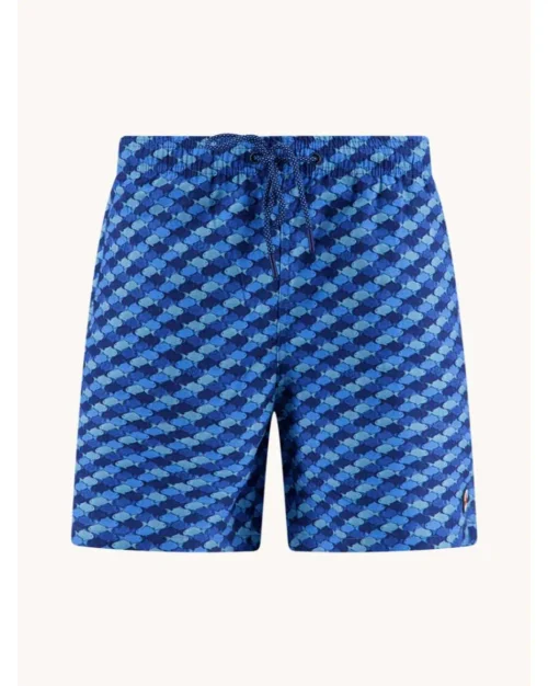 A fish named Fred 33.253 Swimshort graphic fish