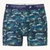 A fish named Fred  Boxer Shorts 2Pack 34.276 Fuji dream Japanese story - Image 3