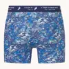 A fish named Fred  Boxer Shorts 2Pack 34.276 Fuji dream Japanese story - Image 4