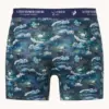 A fish named Fred  Boxer Shorts 2Pack 34.276 Fuji dream Japanese story - Image 5