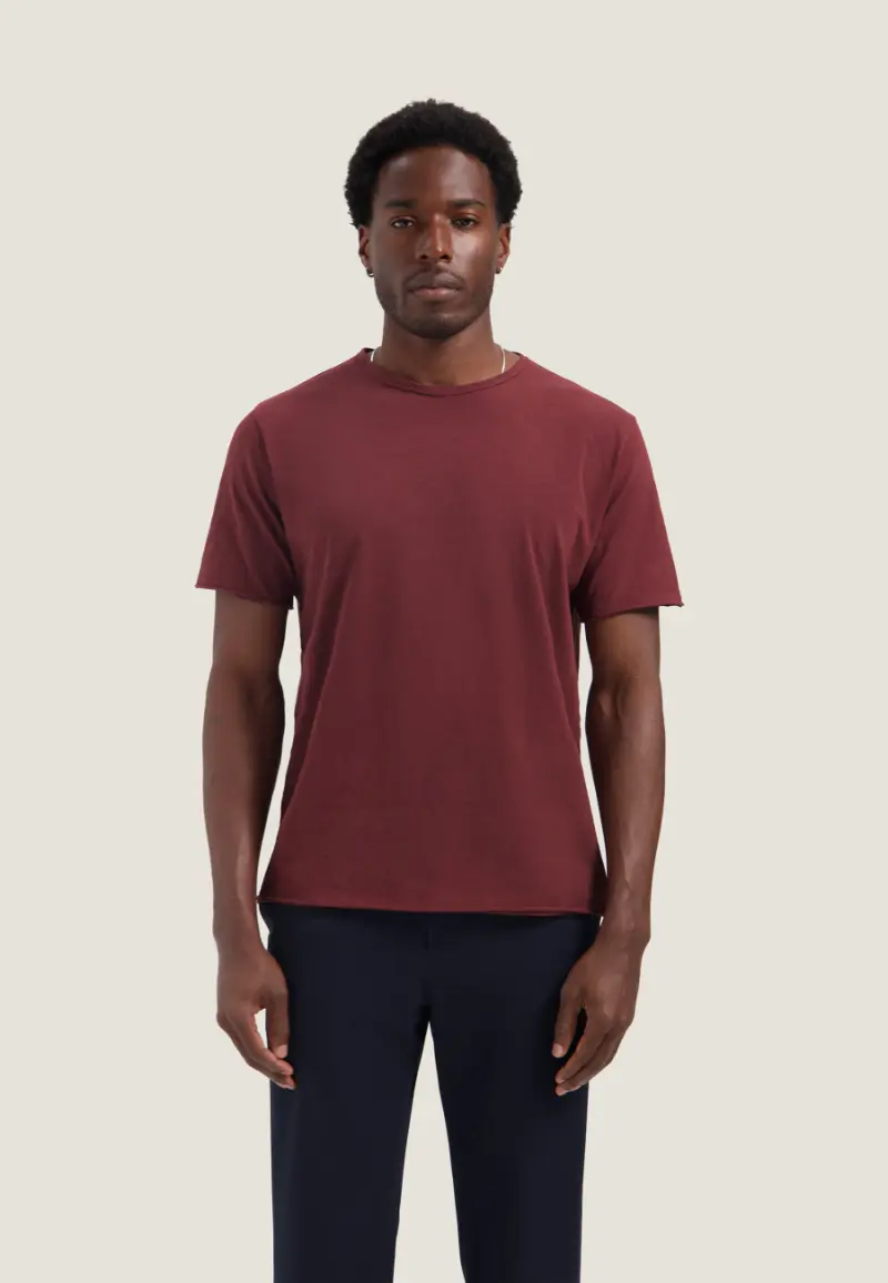 Dstrezzed Mc Queen Organic Cotton T-Shirt 202274 Dark Red