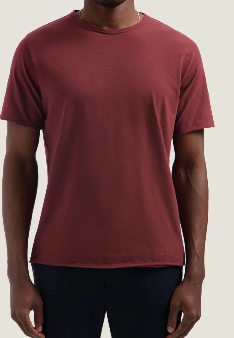 Dstrezzed Mc Queen Organic Cotton T-Shirt 202274 Dark Red - Image 5